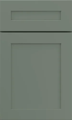 A close-up view of a matte sage green shaker cabinet door.